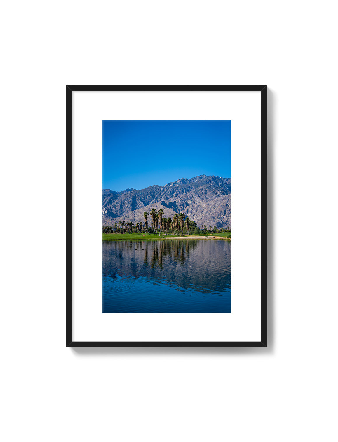 Palm Springs Oasis