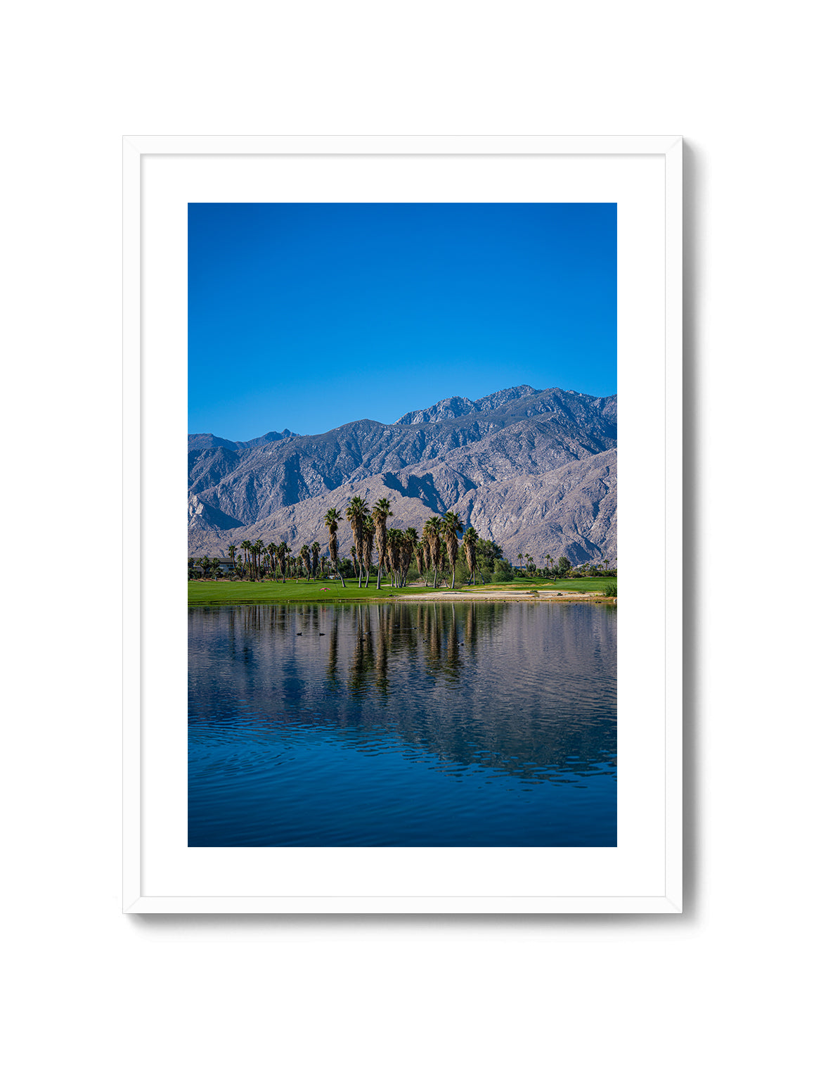 Palm Springs Oasis
