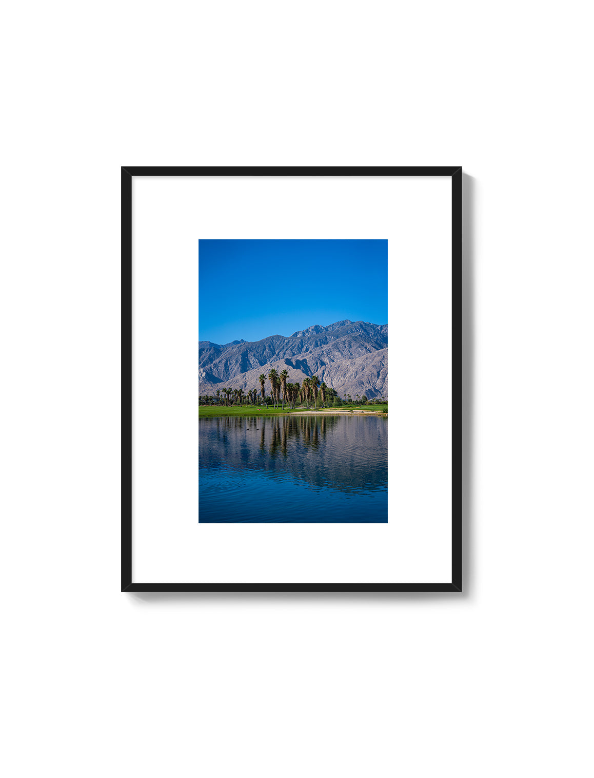 Palm Springs Oasis