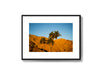 Palm Springs balcony view print, Palm Springs travel photography