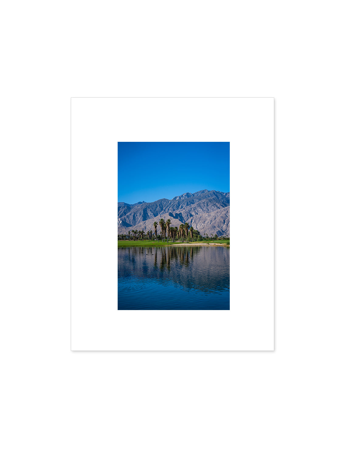 Palm Springs Oasis