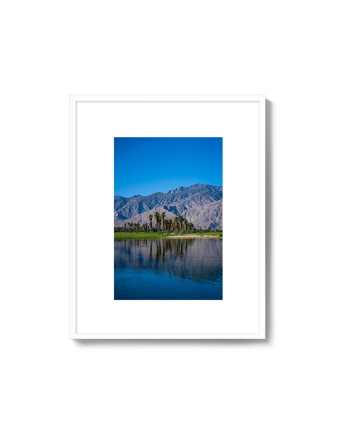Palm Springs Oasis